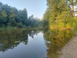 Продається ділянка Житомирська, Житомирський, Дениші, новий масив фото 1 Продається ділянка Житомирська, Житомирський, Дениші, новий масив фото 1