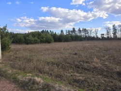 Ділянка 25 соток в с.Пряжів фото 5 Ділянка 25 соток в с.Пряжів фото 5