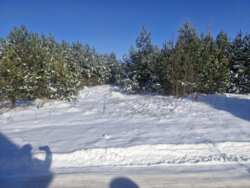 �������� 10���. ������� ����. (26156871) ���� 2