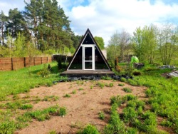 ĳ          (26142819)  5