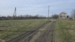 Продаж ділянки 24,6 сот. в с.Двірець поряд з озером. фото 10 Продаж ділянки 24,6 сот. в с.Двірець поряд з озером. фото 10