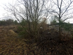 Продаж ділянки в кінці с.Пряжів фото 6 Продаж ділянки в кінці с.Пряжів фото 6