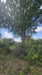 Продаж ділянки 10 соток, Соколовський масив 'Мічуріна' фото 5 Продаж ділянки 10 соток, Соколовський масив 'Мічуріна' фото 5