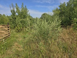 Продаж ділянки 10 соток на Богунії (26144535) фото 12 Продаж ділянки 10 соток на Богунії (26144535) фото 12