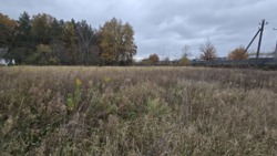 Продаж ділянки 15 соток в с.Іванівка фото 6 Продаж ділянки 15 соток в с.Іванівка фото 6