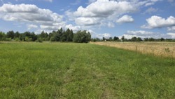 Продаж ділянки с.Високий Камінь, Коростишівського району фото 4 Продаж ділянки с.Високий Камінь, Коростишівського району фото 4