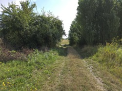 Продаж ділянки 10 сот. р-н аеропора (26126356) фото 3 Продаж ділянки 10 сот. р-н аеропора (26126356) фото 3