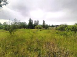 Продається ділянка Житомирська, Житомир, Мальованка, Радонова фото 2 Продається ділянка Житомирська, Житомир, Мальованка, Радонова фото 2