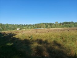 Ділянка 15 сот. с.Дениші фото 3 Ділянка 15 сот. с.Дениші фото 3