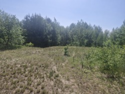 Продаж ділянки с.Тетерівка, крайня до річки фото 12 Продаж ділянки с.Тетерівка, крайня до річки фото 12