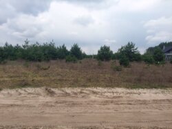 Продається ділянка Житомирська, Житомирський, Пряжів, Лісова/Промислова фото 9 Продається ділянка Житомирська, Житомирський, Пряжів, Лісова/Промислова фото 9