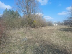   ., 25    (26141862)  5