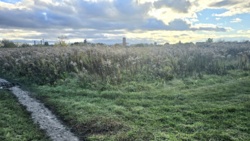 Продаж ділянки, Хутір Хінчанка, новий масив фото 5 Продаж ділянки, Хутір Хінчанка, новий масив фото 5