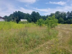      ', ' ' (26104563)  5