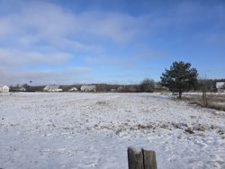 Ділянка 60 соток з старою хатинкою с.Катеринівка фото 13 Ділянка 60 соток з старою хатинкою с.Катеринівка фото 13