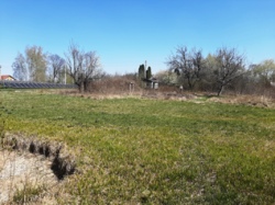 Продаж ділянки навпроти лісу с.Барашівка фото 1 Продаж ділянки навпроти лісу с.Барашівка фото 1