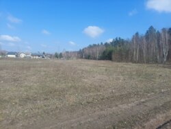 Ділянка 30 соток в с.Садки біля лісу (26140269) фото 1 Ділянка 30 соток в с.Садки біля лісу (26140269) фото 1