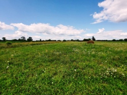 Продається ділянка Житомирська, Житомирський, Вереси, Новошкільна фото 2 Продається ділянка Житомирська, Житомирський, Вереси, Новошкільна фото 2