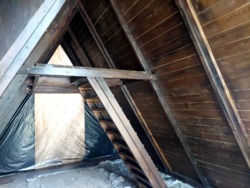 ĳ          (26142819)  16