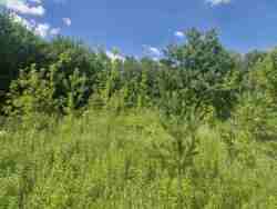 Фасадна ділянка на Вересівський Шлях фото 5 Фасадна ділянка на Вересівський Шлях фото 5