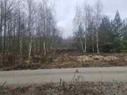 ĳ����� 20 ���. �볿��� (26159460) ���� 5