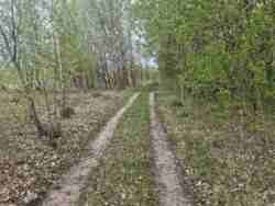 Ділянка 8 сот. Хінчанка/Параджанова фото 8 Ділянка 8 сот. Хінчанка/Параджанова фото 8