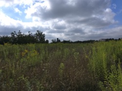 Продаж земельної ділянки в районі аеропорта (2691965) фото 2 Продаж земельної ділянки в районі аеропорта (2691965) фото 2