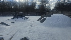 Ділянка 8соток, Станишівка, фундамент, світло, свердловина фото 10 Ділянка 8соток, Станишівка, фундамент, світло, свердловина фото 10