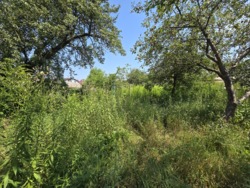 Продаж старого будинку + 13 соток на Богунії (26142318) фото 2 Продаж старого будинку + 13 соток на Богунії (26142318) фото 2