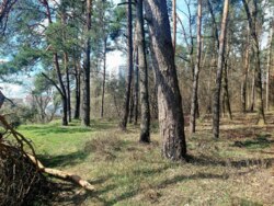 Продається ділянка Житомирська, Житомир, Паперова ф-ка, Слобідська вул. р-н фото 6 Продається ділянка Житомирська, Житомир, Паперова ф-ка, Слобідська вул. р-н фото 6