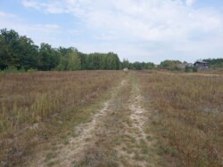 Продається ділянка Житомирська, Житомирський, Березівка, під лісом фото 7 Продається ділянка Житомирська, Житомирський, Березівка, під лісом фото 7