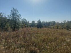 Ділянка 27 соток на початку с.Дениші фото 5 Ділянка 27 соток на початку с.Дениші фото 5