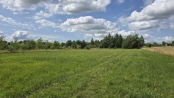 Продаж ділянки с.Високий Камінь, Коростишівського району фото 8 Продаж ділянки с.Високий Камінь, Коростишівського району фото 8