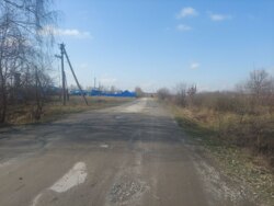   ., 25    (26141862)  8