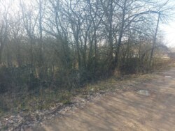   25   . (26105789)  8