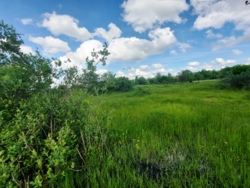 Продаж ділянки по центральній вулиці в с Туровець фото 6 Продаж ділянки по центральній вулиці в с Туровець фото 6