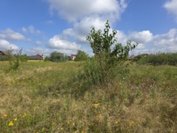 Продається ділянка Житомирська, Житомир, Аеропорт, Коростенська вул. фото 11 Продається ділянка Житомирська, Житомир, Аеропорт, Коростенська вул. фото 11