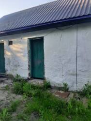    14,6 .  ..(26143857)  12