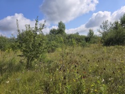 Продаж 15 соток в районі аеропорта (26145164) фото 1 Продаж 15 соток в районі аеропорта (26145164) фото 1