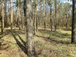 Продається ділянка Житомирська, Житомир, Паперова ф-ка, Слобідська вул. р-н фото 8 Продається ділянка Житомирська, Житомир, Паперова ф-ка, Слобідська вул. р-н фото 8