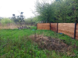 ĳ          (26142819)  13