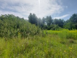      ', ' ' (26104563)  2