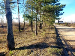 Продається ділянка Житомирська, Житомирський, Кам'янка, Соснова фото 4 Продається ділянка Житомирська, Житомирський, Кам'янка, Соснова фото 4