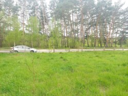 Продається ділянка Житомирська, Житомирський, Давидівка, 22-го Партз'їзду фото 1 Продається ділянка Житомирська, Житомирський, Давидівка, 22-го Партз'їзду фото 1