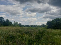 Продається ділянка Житомирська, Житомирський, Станишівка, початок фото 4 Продається ділянка Житомирська, Житомирський, Станишівка, початок фото 4