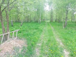 Продається ділянка Житомирська, Житомирський, Глибочиця, Березової р-н фото 1 Продається ділянка Житомирська, Житомирський, Глибочиця, Березової р-н фото 1