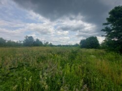 Продається ділянка Житомирська, Житомирський, Станишівка, початок фото 8 Продається ділянка Житомирська, Житомирський, Станишівка, початок фото 8