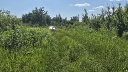 Продаж ділянки р-н Смоківка фото 6 Продаж ділянки р-н Смоківка фото 6