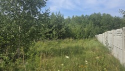 Продаж ділянки 12 сот. Іванівка, лісорозсадник фото 3 Продаж ділянки 12 сот. Іванівка, лісорозсадник фото 3