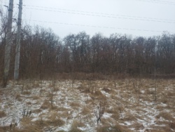 Продаж земельної ділянки12 сот. в с.Станишівка.(26123029) фото 5 Продаж земельної ділянки12 сот. в с.Станишівка.(26123029) фото 5